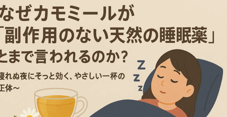 スクリーンショット 2025-12-02 064537